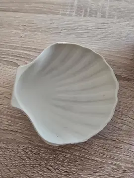 lot de coquilles St Jacques
