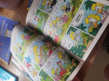 gros livre picsou