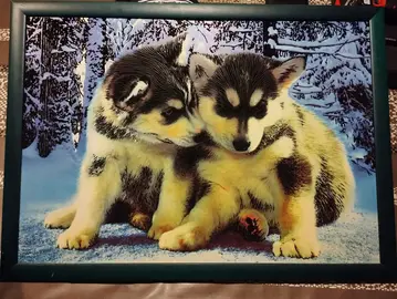 tableau de deux chiot husky de Sibérie dans décor enneigé