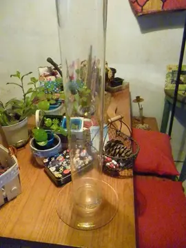 grand vase en verre pour iris ou autres