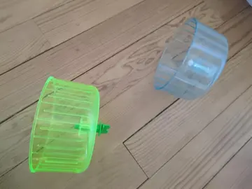 roue souris ou hamster