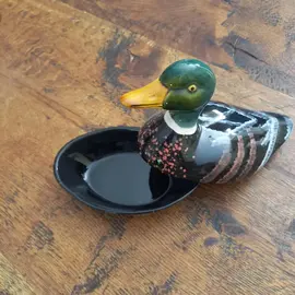 canard boite