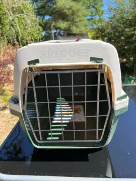panier de transport pour chat ou petit chien