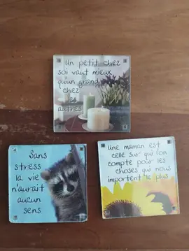 3 aimants pour frigo