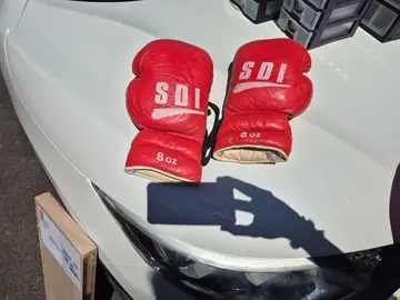 paire de gants de boxe