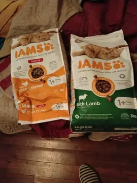 alimentation chat
