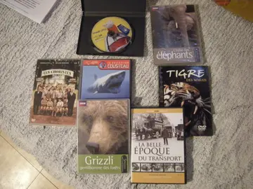DVD