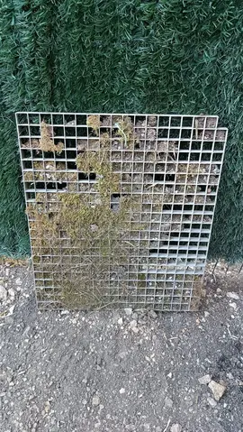 Caillebotis grille galvanisée