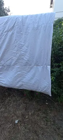 couette plume de canard