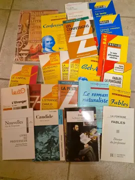 Lot de petits livres sur des œuvres litteraires