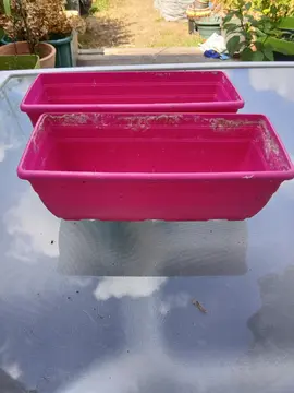 petite jardinière