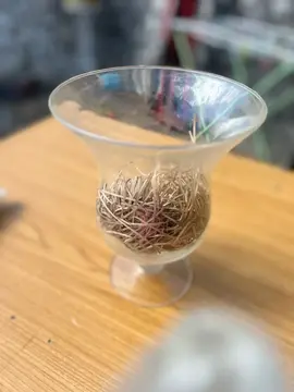 vase