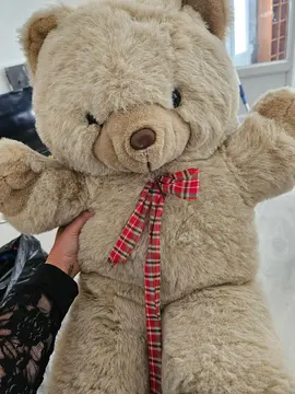 gros ours en peluche