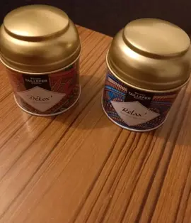 lot de 2 boîtes à thé ovales décoratives en métal.