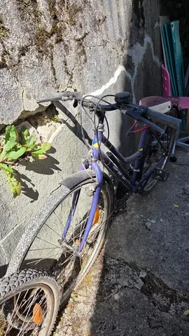 vélo femme
