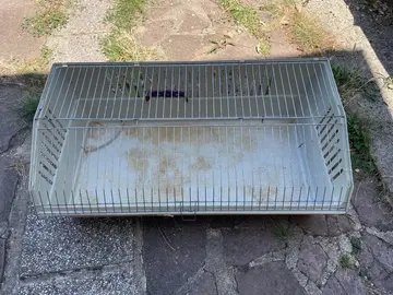 cage lapin