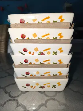lot de 6 mini plats à gratin neufs