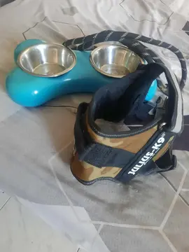 lot pour chien