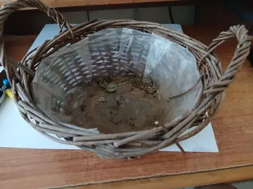 panier cache pot