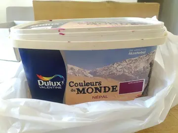 2l peinture Dulux Valentine Népal (violet)
