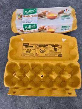 boîte a oeuf x 2