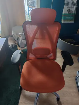 Siège de bureau Sihoo