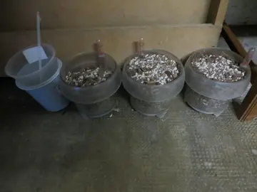 Pots pour orchidées