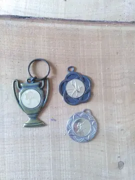 3 médailles de judo