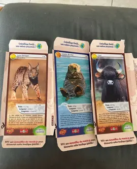 3 cartes animaux