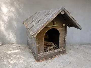 niche chien moyen