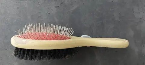 Brosse pour chat ou chien