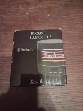 enceinte