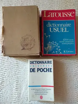 Lot de dictionnaires français