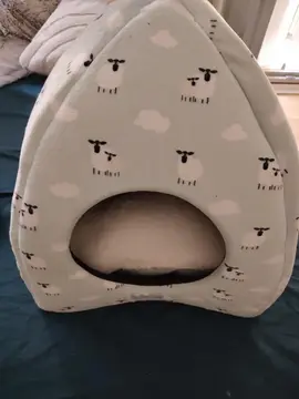 Couchette pour chat