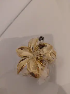 pince à cheveux