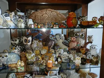 collection chouette