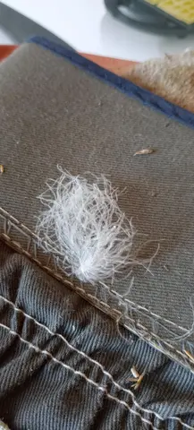 duvet plumes pour couette
