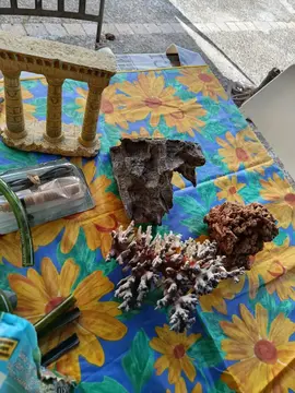 accessoires aquarium et décoration