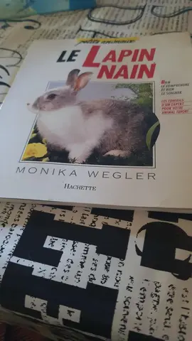 livre le lapin nain