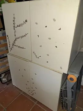 URGENT - 2 grandes armoires suspendues