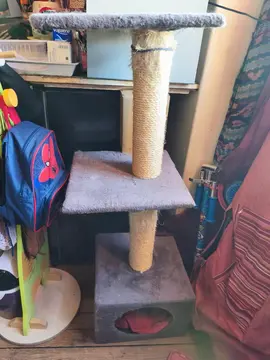 arbre à chat