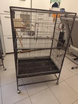 cage oiseaux