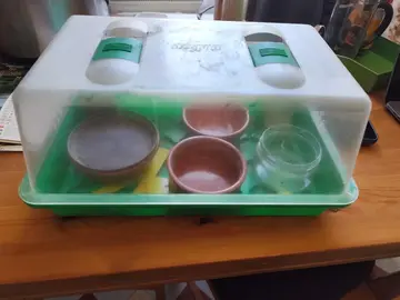 Mini serre pour plantes