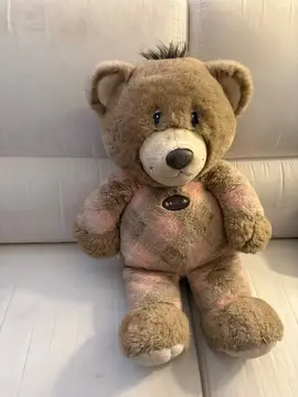 ours en peluche