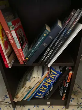 lot de livres