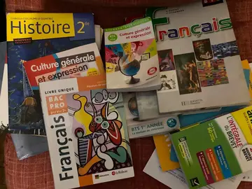 lot de manuels scolaires