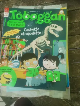 8 magazines toboggans