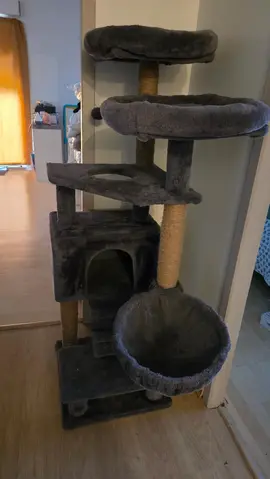 arbre a chat