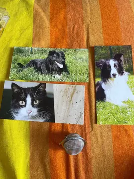 3 Cartes de vœux et une pince à thé.