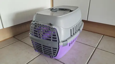 caisse de transport chat